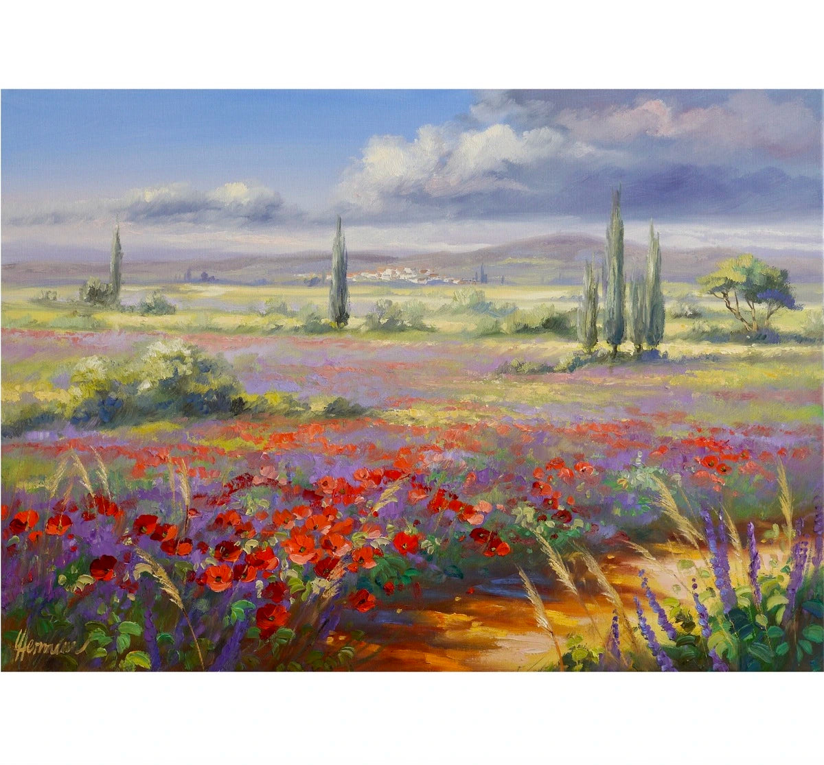 Ute Herrmann - Lavender field in the morning