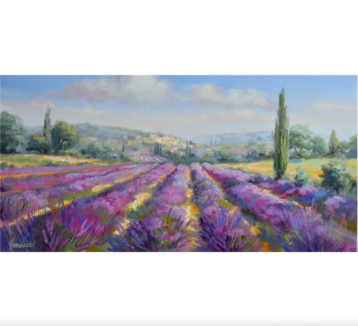 Ute Herrmann - Rows of lavender in the Luberon