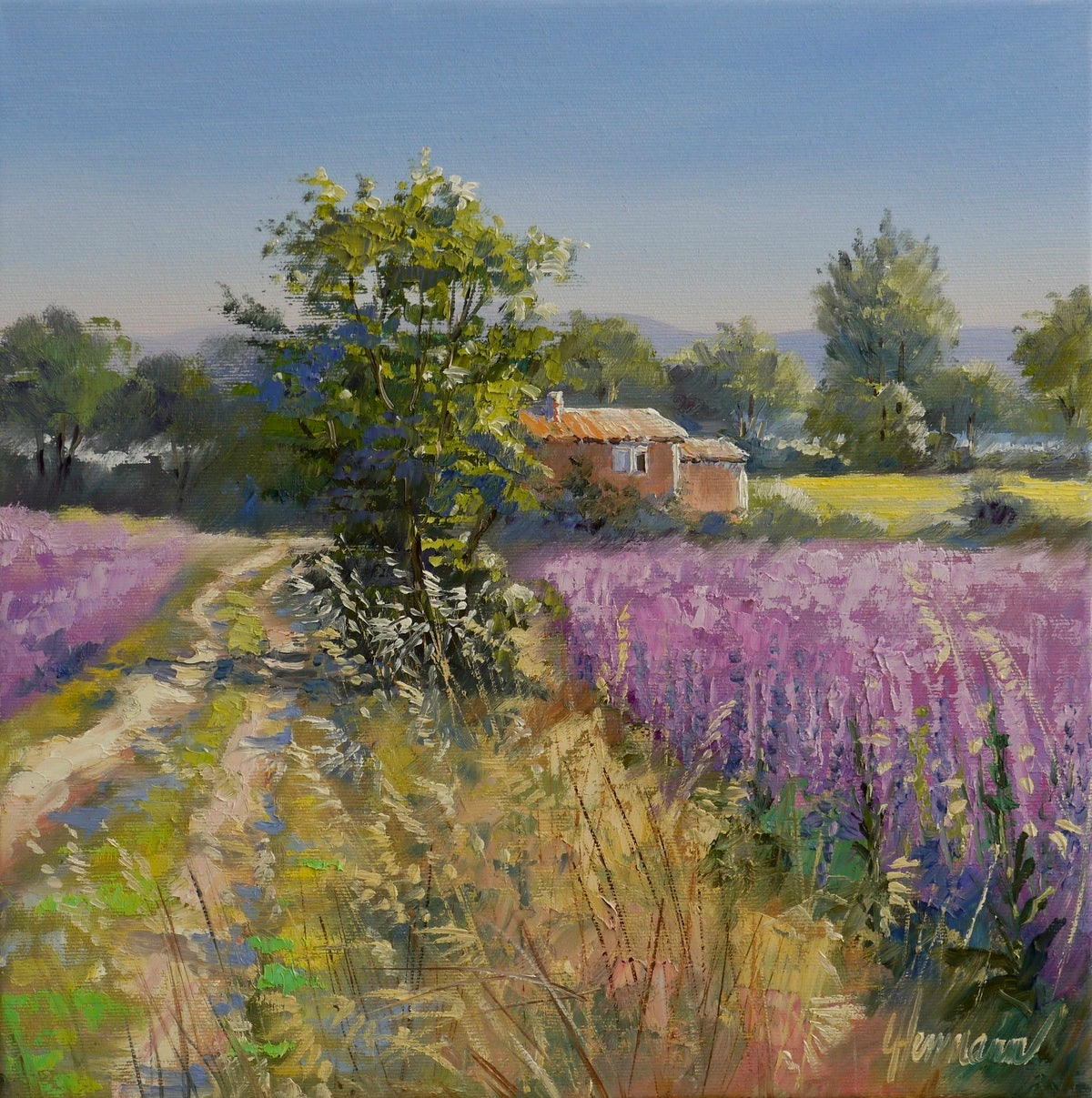 Ute Herrmann - Sage fields in Provence