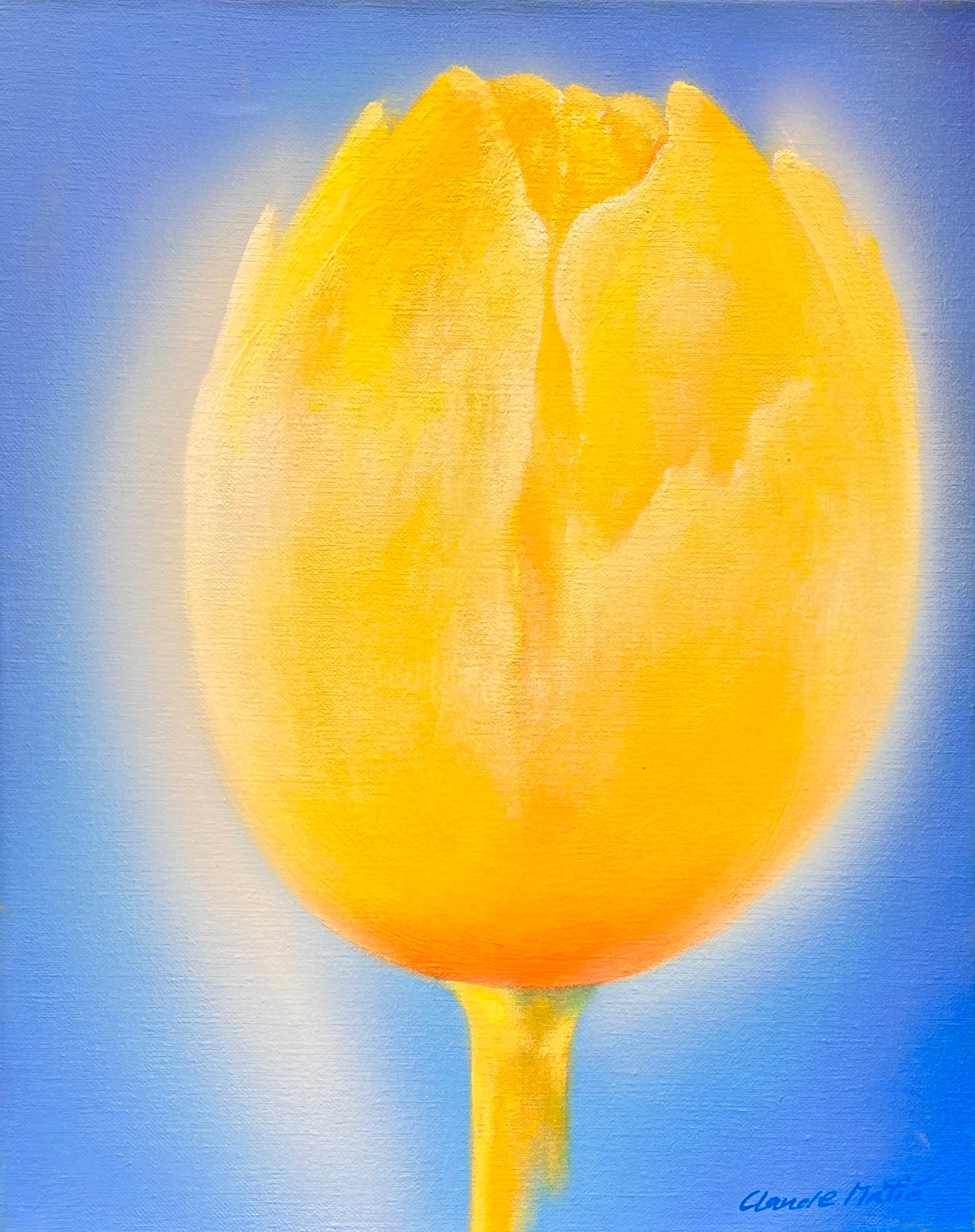 Claude E. Matié  Tulpe im Gegenlicht I - Galerie Vogel