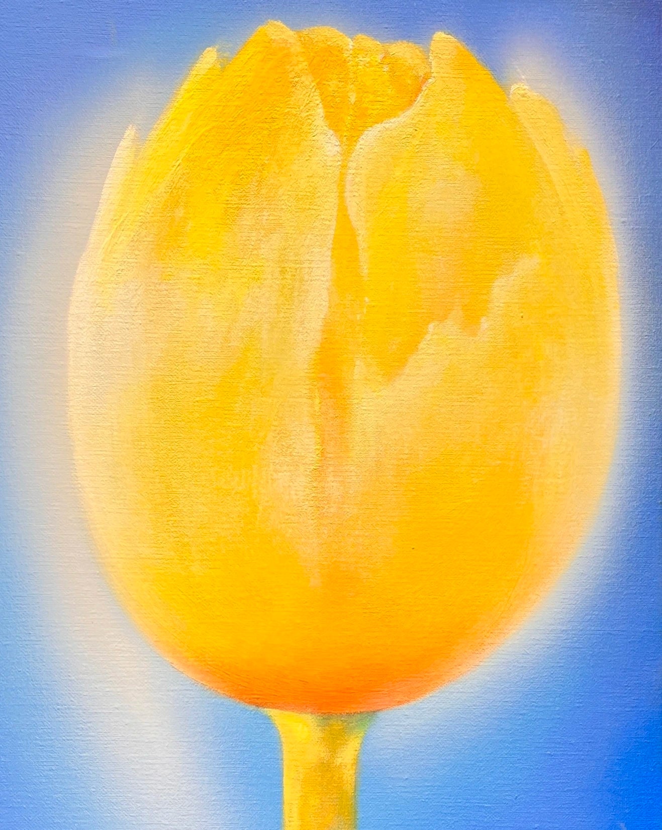 Claude E. Matié  Tulpe im Gegenlicht I - Galerie Vogel