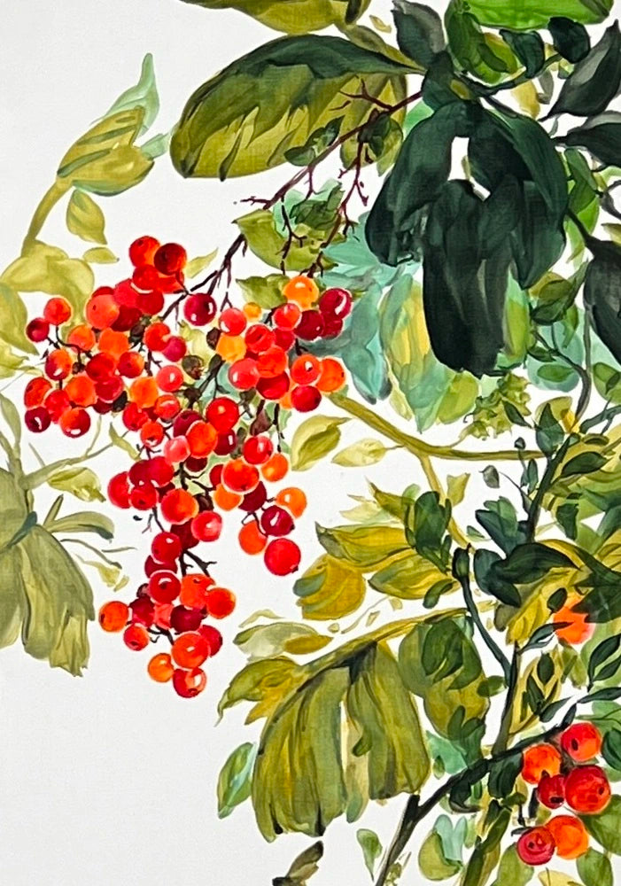 Edward Malinowski Rote Johannisbeere - Galerie Vogel